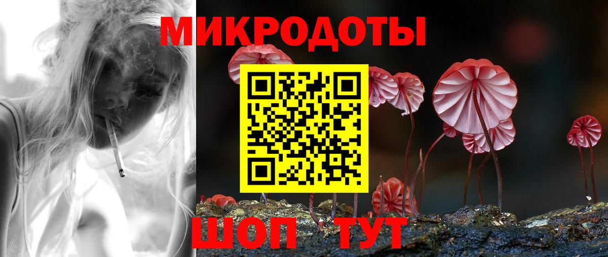 Псилоцибиновые грибы Cubensis Коркино