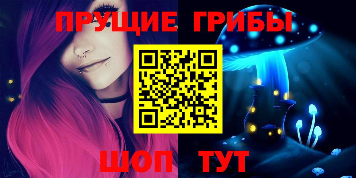 Коркино  Псилоцибиновые грибы GOLDEN TEACHER  купить наркотик  Вход с VPN  Псилоцибиновые грибы MAGIC MUSHROOMS 